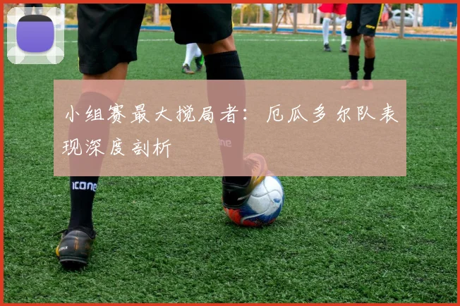 小组赛最大搅局者：厄瓜多尔队表现深度剖析