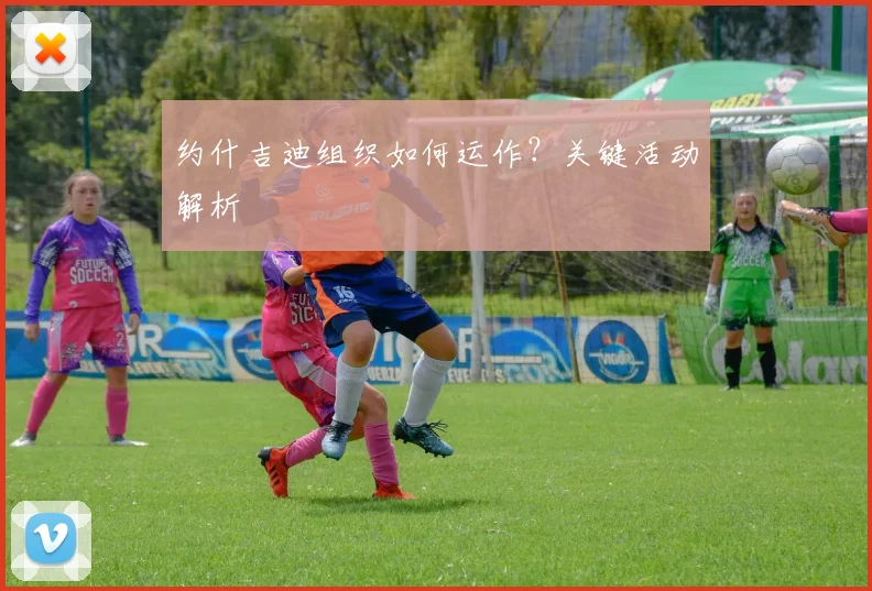 约什吉迪组织如何运作？关键活动解析